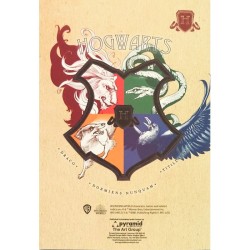 Cahier d'Exercice - Serpentard - Harry Potter