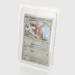 Strip Bags (x100) - Toploader