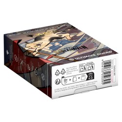 Protèges Cartes 100 pièces - Art Sleeves - Faille Cyclonique (Alternate Art) - Magic : The Gathering : Secrets of Strixhaven