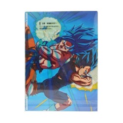 Fourre - Broly / SSJ God Duo (Lot J) - VS Omnibus Ultra - Dragon Ball Z - Ichibansho BNP62418