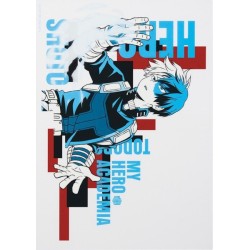 Poster Transparent - Shoto Todoroki (Lot H) - VS - My Hero Academia Ichibanshô BNP62714