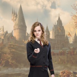 Boîte abîmée - Baguette de Hermione - Harry Potter - ed. standard