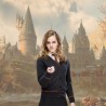 Boîte abîmée - Baguette de Hermione - Harry Potter - ed. standard