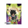Poster - Broly - Dragon Ball