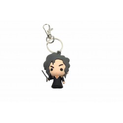 Porte-clefs PVC - Harry...