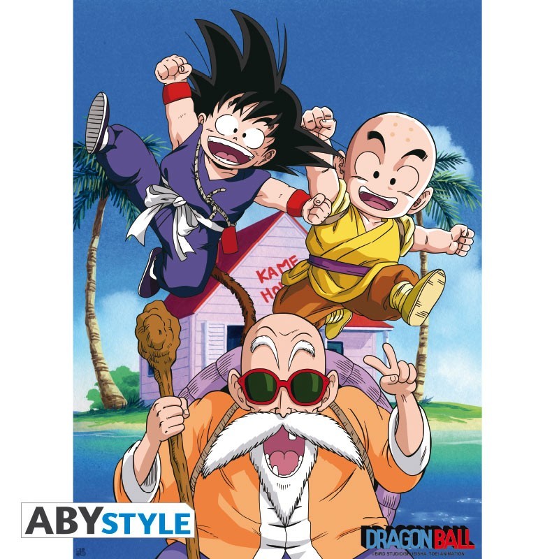 Poster - Kame Team - Dragon Ball