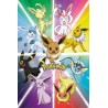 Poster - Evoli et évolution - Pokemon - Roulé et filmé